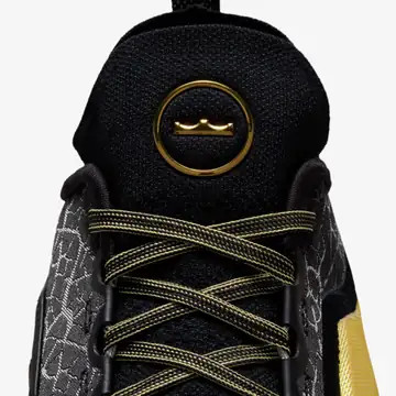 کفش اورجینال بسکتبال Nike LeBron 23 Elite Hurt Feelings
