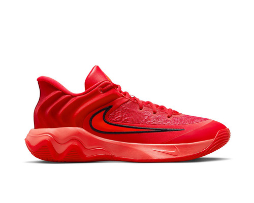 کفش اورجینال بسکتبال Nike GIANNIS IMMORTALITY 4