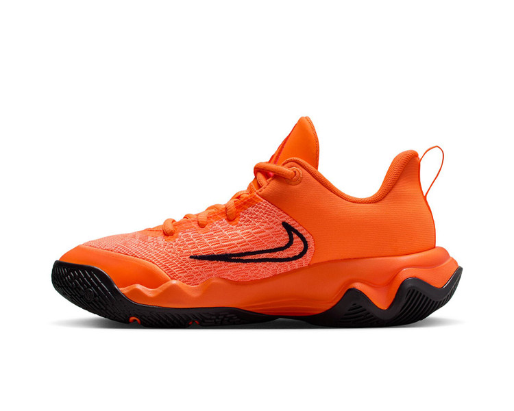 کفش اورجینال بسکتبال Nike GIANNIS IMMORTALITY 4
