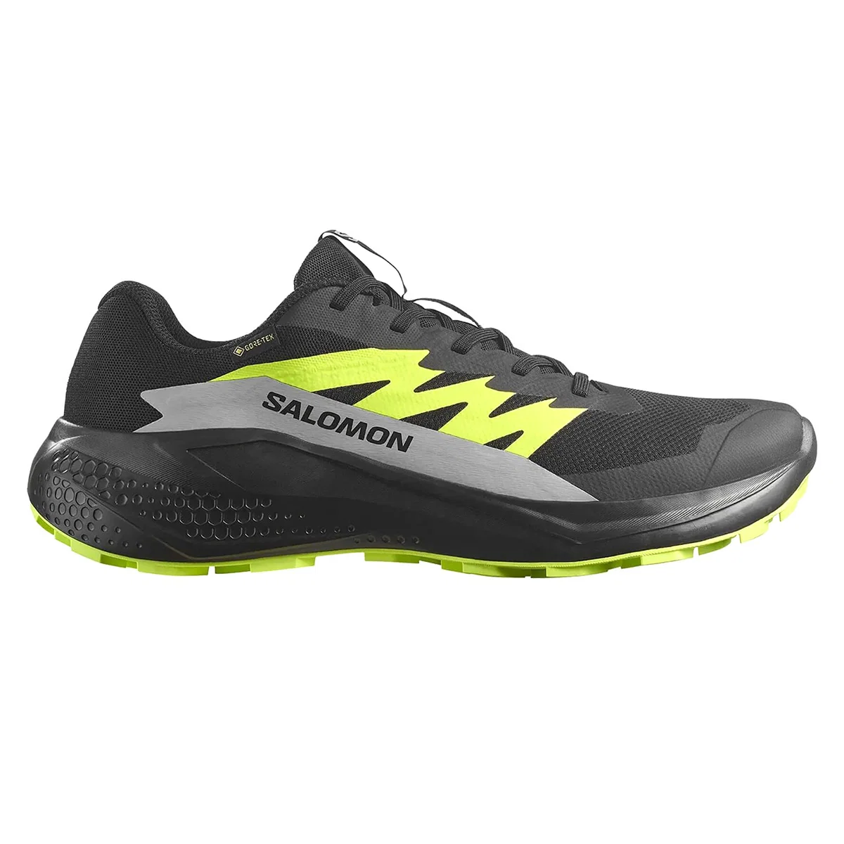کفش اورجینال رانینگ و پیاده روی Salomon Alphaglide Gore-Tex