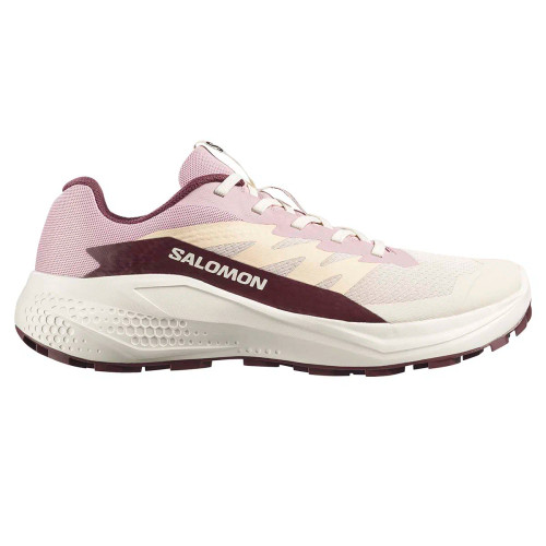 کفش اورجینال رانینگ و پیاده روی Salomon Alphaglide