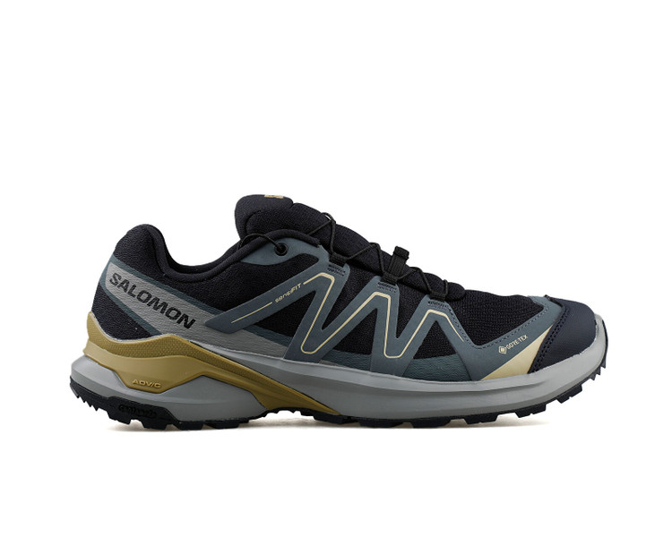 کفش اورجینال رانینگ و پیاده روی Salomon EXAMOTION GTX