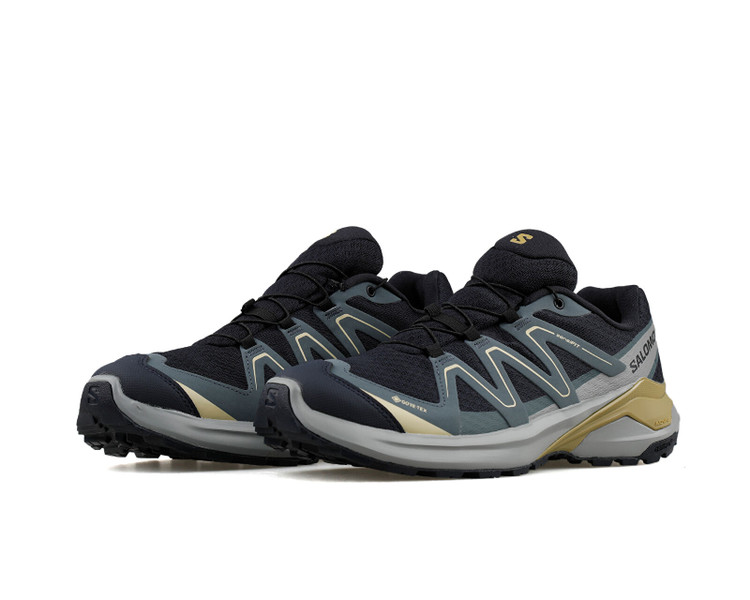 کفش اورجینال رانینگ و پیاده روی Salomon EXAMOTION GTX