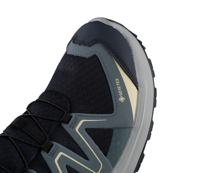کفش اورجینال رانینگ و پیاده روی Salomon EXAMOTION GTX