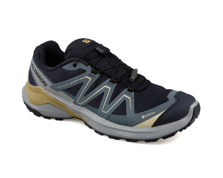 کفش اورجینال رانینگ و پیاده روی Salomon EXAMOTION GTX