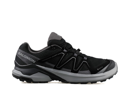 کفش اورجینال رانینگ و پیاده روی Salomon EXAMOTION GTX